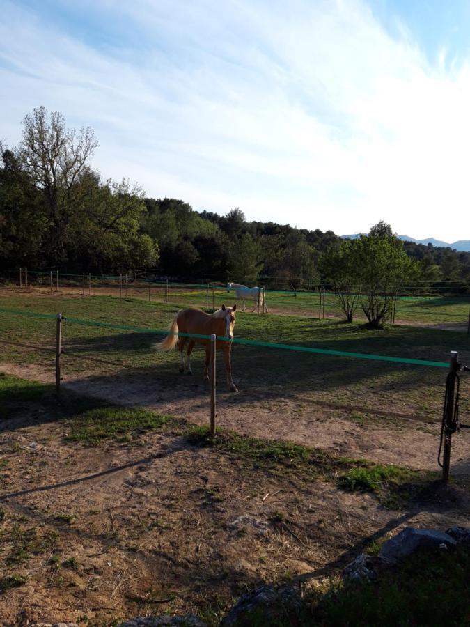 La Margottiere Chez Isa Et Titi Hotel Rians  Exterior foto